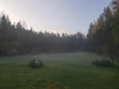 a foggy field with trees in the background at A&S Vidugiris in Jurbarkas