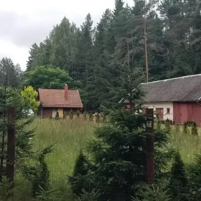 A&S Vidugiris
