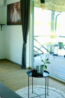 a table with a plant on it in a living room at DeerHouse in Kaliakiemiai