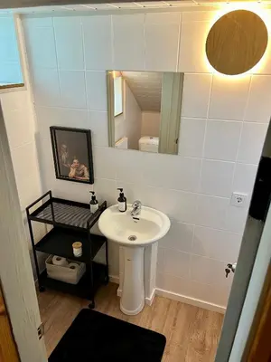 a bathroom with a sink and a mirror at Villa Poilsinė in Balninkai