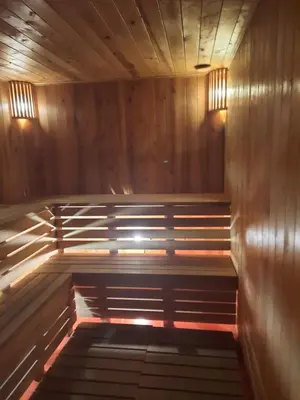 a sauna with wood paneling and lights on the wall at Vitkų sodyba in Pakopi