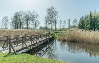 a wooden bridge over a river in a field at Rubikių Kranto Sodyba in Anykščiai