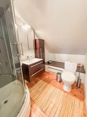 a bathroom with a toilet and a sink at Rubikių Kranto Sodyba in Anykščiai