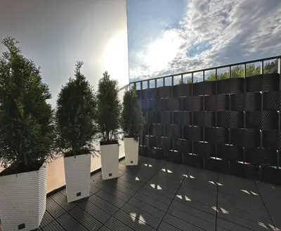 a group of trees sitting on top of a building at Lazdyneliu Vingis Vilnius 