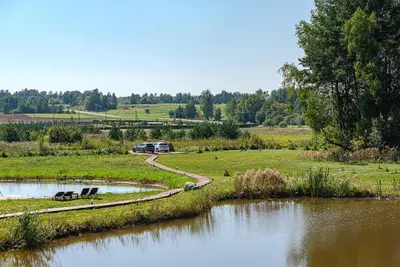 a car parked on a road next to a lake at Namelis Ramybėlė in Siauliškiai