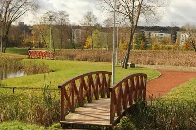 a wooden bridge over a pond in a park at Warmzy Home near Park with Free Parking in Vilnius