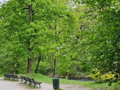 two benches in a park with a trash can at Mykoliukas in Vilnius