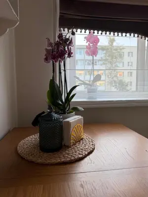 a vase of flowers on a table with a window at NESTAa in Druskininkai