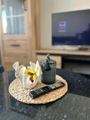 a remote control sitting on a table next to a remote control at NESTAa in Druskininkai