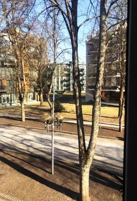 a tree in a park with buildings in the background at Apartamentai DU in Druskininkai