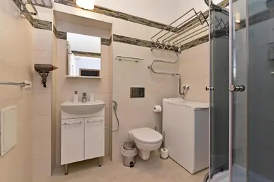 a bathroom with a toilet and a sink and a shower at Apartamentai DU in Druskininkai