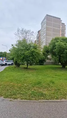 a field of grass with trees and a building at Trumpalaikė butų nuoma Kaune prie Klinikų SELF CHECK-IN in Kaunas