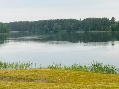 a large body of water with trees in the background at Bijunai in Žaugėdai