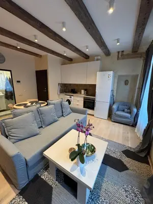 a living room with a couch and a table at BONUM apartments in Vilnius old town in Vilnius