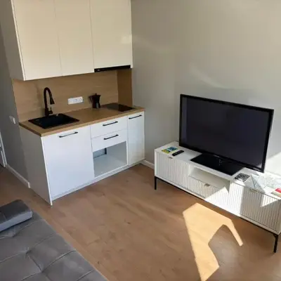 RR Apartments in Algirdo street