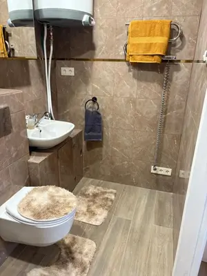a bathroom with a toilet and a sink at Saulutė in Birštonas