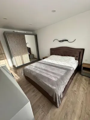 a bedroom with a large bed and a mirror at Lauros Apartamentai in Kupiškis