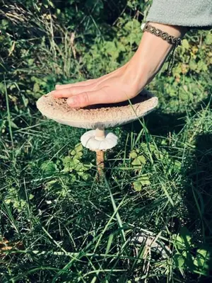 a person is standing on top of a mushroom at Menulio Misko Nights in Vilkija