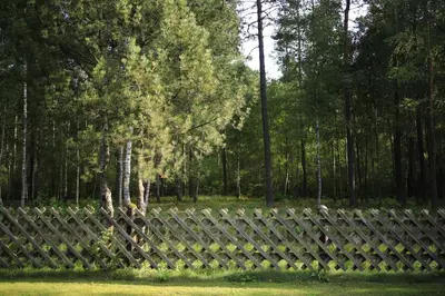 a person is looking through a wooden fence at Secluded private villa in the middle of the woods in Margionys