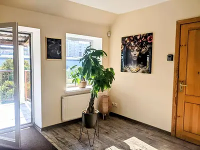 a room with a potted plant and a window at Guest House Kamara in Panevėžys
