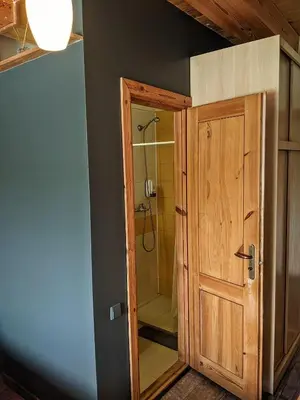 a bathroom with a shower and a wooden door at Guest House Kamara in Panevėžys