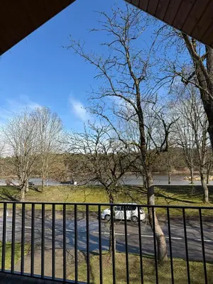a view from a balcony of a park with trees at Oak Zen Home in Birštonas