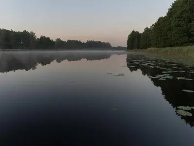 a body of water with trees and fog on it at Getlost cabins in Valanciunai