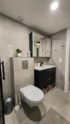 a bathroom with a toilet and a sink at BlueLoft Kaunas in Kaunas