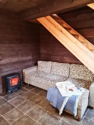 a living room with a couch and a fireplace at Asvejos sodyba in Skirlėnai