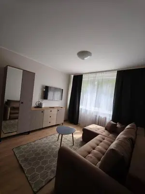 a living room with a couch and a mirror at Egidijaus apartamentai Panevėžyje in Panevėžys