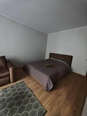 a bedroom with a bed and a chair and a rug at Egidijaus apartamentai Panevėžyje in Panevėžys