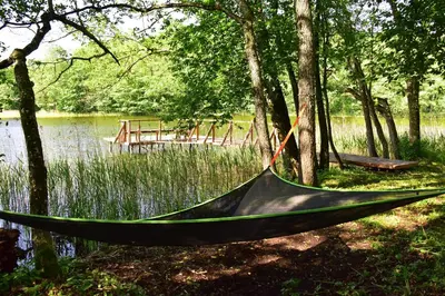a hammock in the woods next to a lake at Kiauklių oazė in Kiaukliai