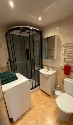 a bathroom with a shower and a toilet and a sink at Ramybė Druskininkai in Druskininkai