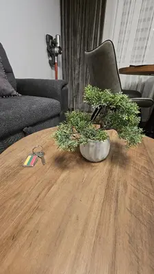 a wooden coffee table with a potted plant on it at CITY STAY 2-bedroom apartment in Šiauliai
