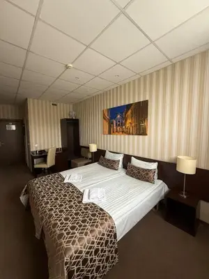 a hotel room with a large bed in it at Naujamiescio Studio in Vilnius