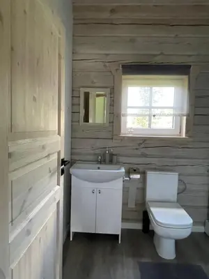 a bathroom with a white sink and a toilet at Cozy House by Galuonai Lake - Jauki 3 miegamųjų sodyba 200 m nuo Galuonų ežero in Inturkė