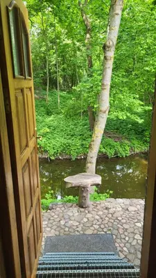a door with a bench sitting in front of a tree at Hunters Lounge Apartments
