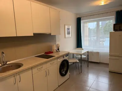 a kitchen with a sink and a washing machine at Mineral Apartment in Druskininkai