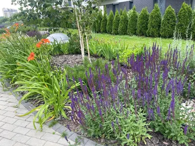 a garden with purple flowers and plants at Family room in Vilnius