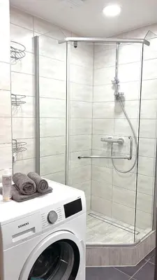 a washing machine in a bathroom with a shower at Rugilės lelijų apartamentai in Birštonas