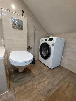 a bathroom with a washing machine and a toilet at Fryko apartamentai Kaune in Kaunas