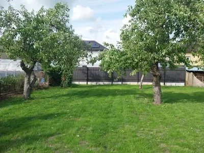 two trees in a yard with a fence at Saulės miesto apartamentai in Šiauliai