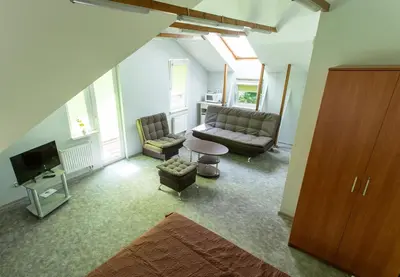 a living room with a couch and a tv at Rinvasta in Druskininkai