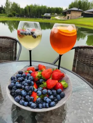 two glasses of wine and a plate of fruit on a table at Žalesos pirtelė in Ažulauke