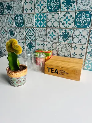 a cactus in a pot next to a tea box at Žaliakalnio panoramos apartamentai in Kaunas
