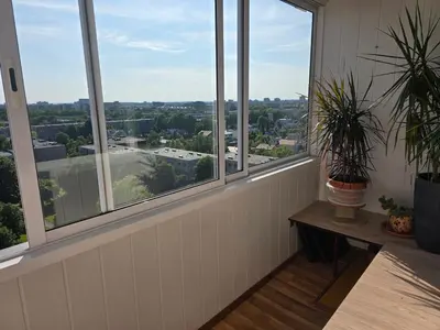 a room with windows and a table with a plant at Apartaments Kaunas in Kaunas