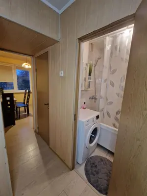 a bathroom with a washing machine and a shower at Pušų lašas apartamentai in Birštonas