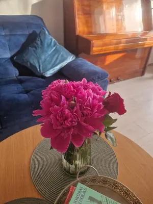 a vase of pink flowers sitting on a table at Pušų lašas apartamentai in Birštonas