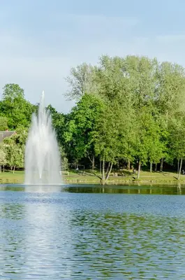 a fountain in the middle of a lake at Activity & Relax Studio 5 in Druskininkai