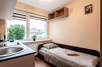 a small bathroom with a sink and a window at Small Studio Apartment in Kaunas